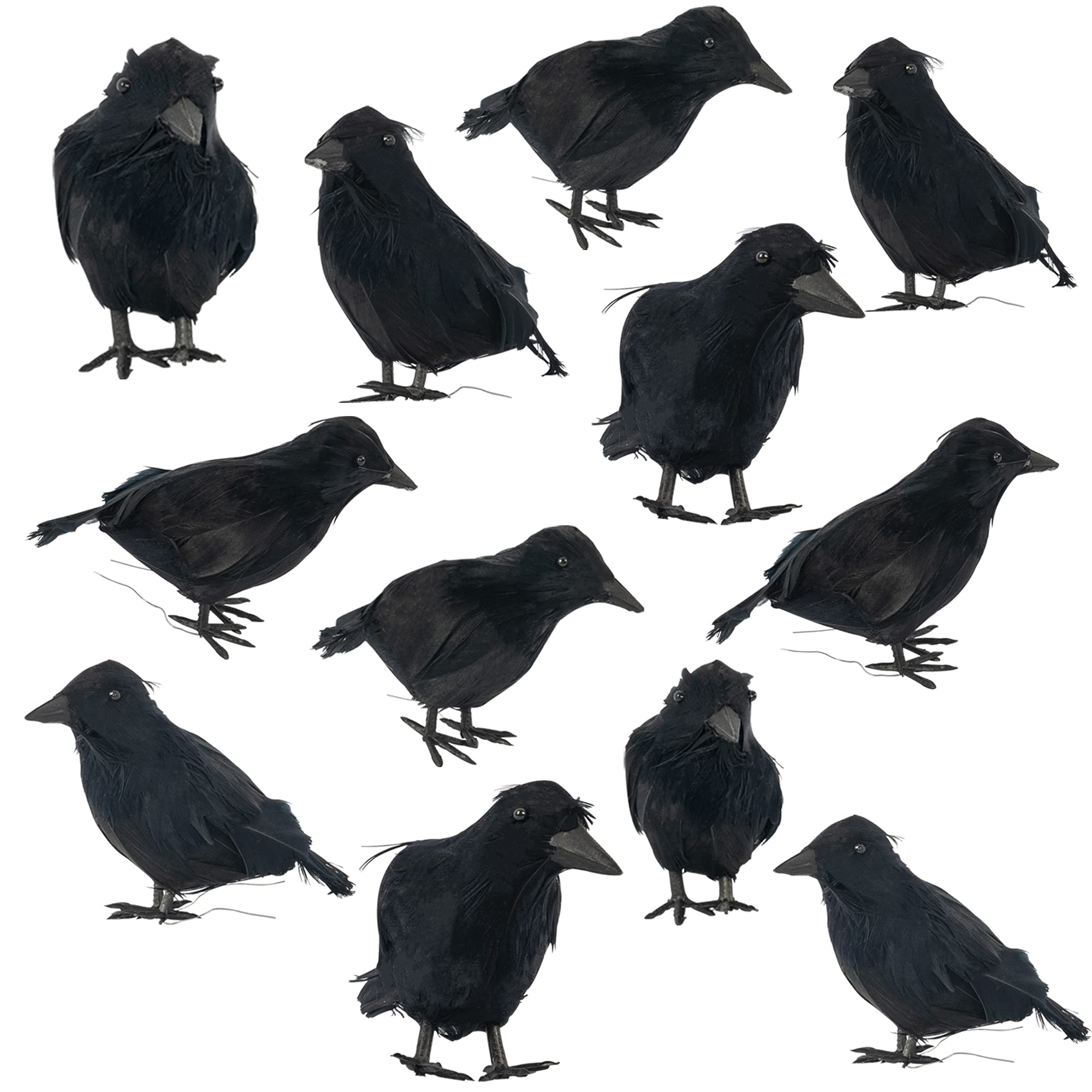 Halloween Black Feathered Crows(12 Pack)