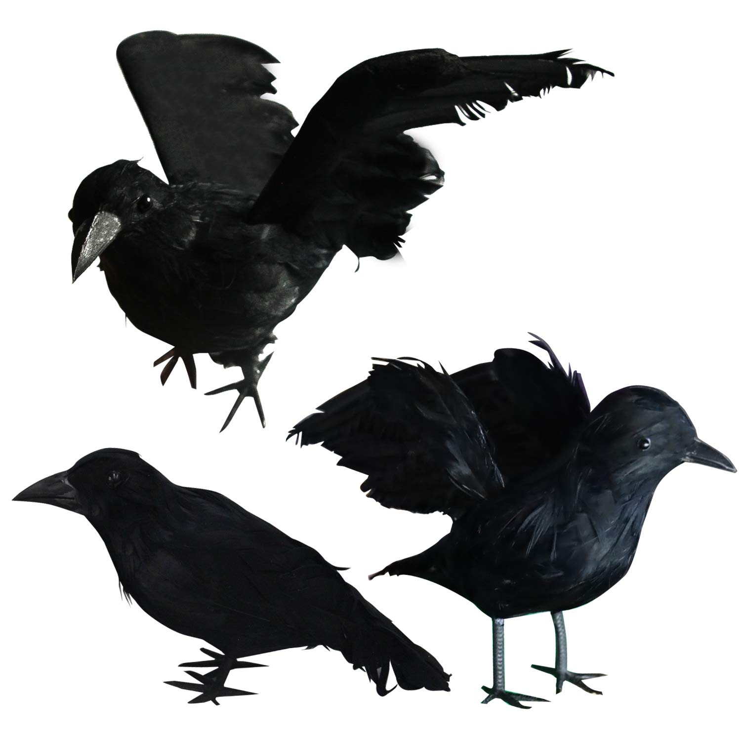 Halloween Black Feathered Crows, 3 Pack